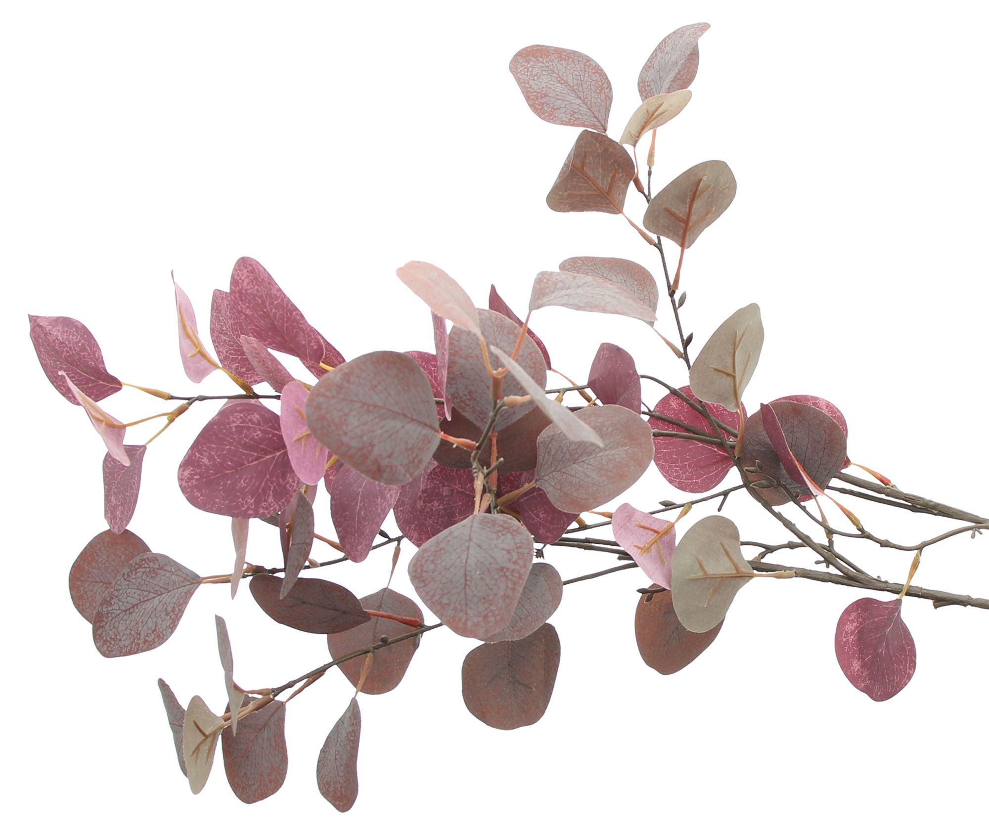 Eukalyptuszweig "Mauve", 2er Set im Frank Flechtwaren Online Shop für Herbst kaufen Eukalyptuszweig "Mauve", 2er Set im Frank Flechtwaren Online Shop für Herbst kaufen