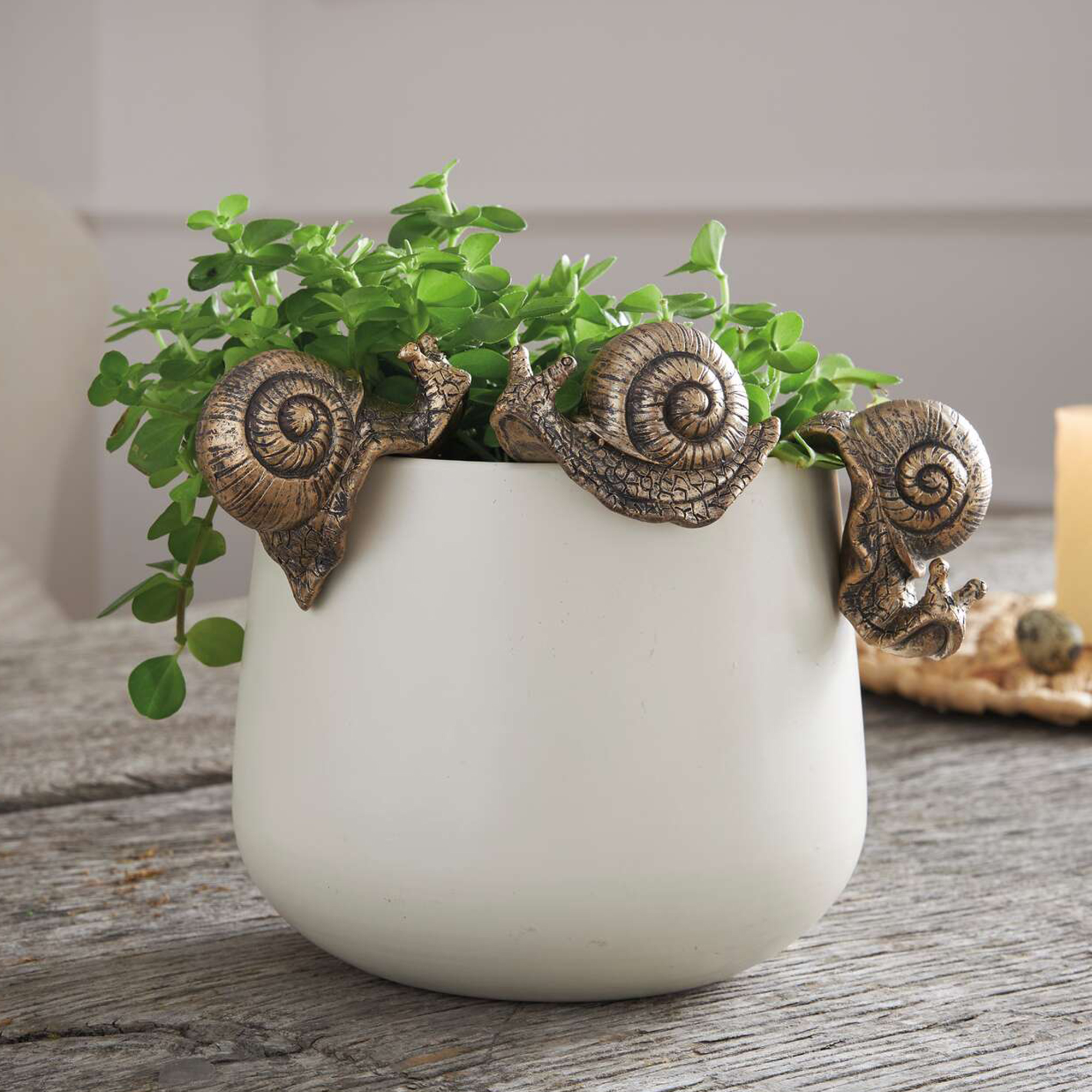 Figur "Schnecke", 3er Set  im Frank Flechtwaren Online Shop kaufen