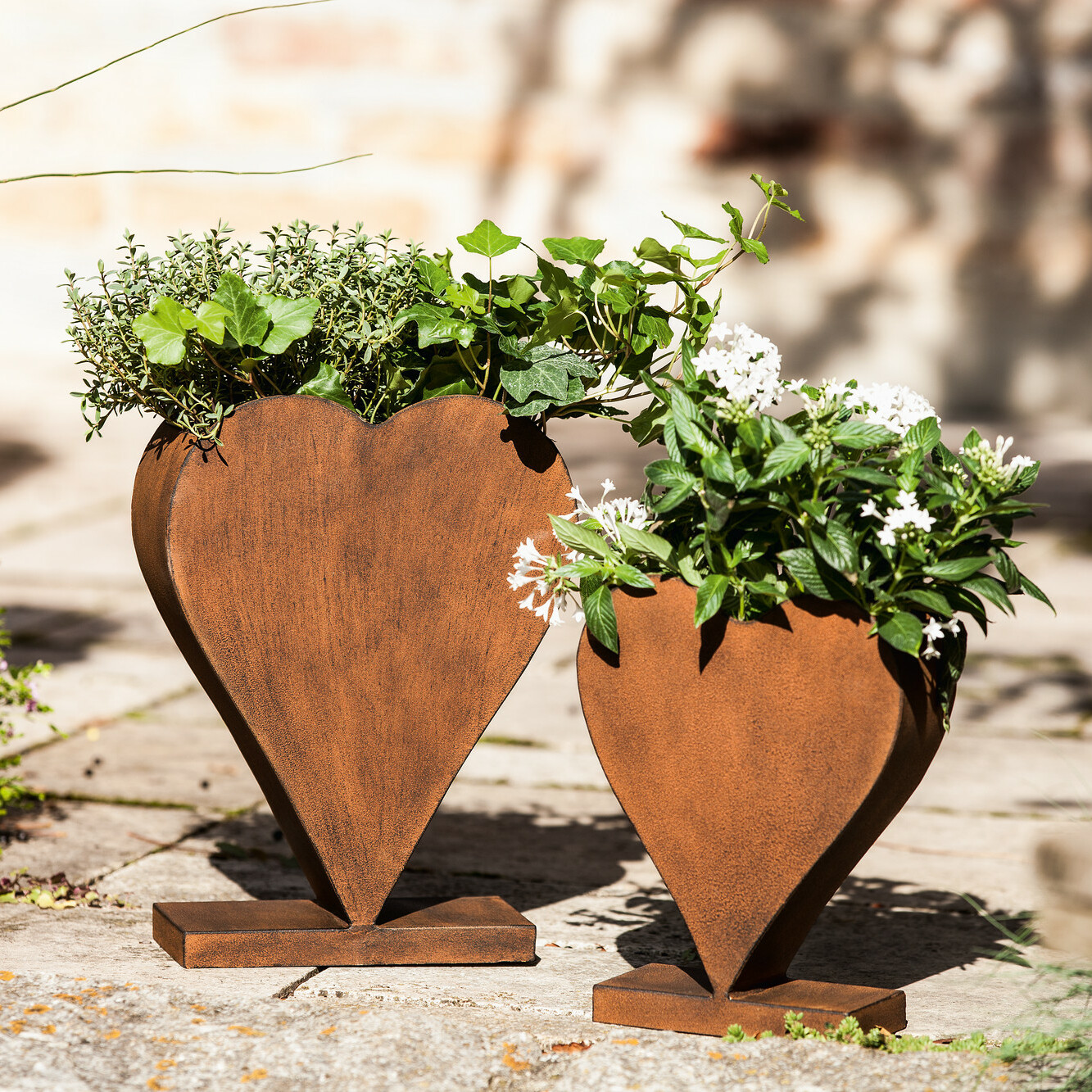 Pflanzer "Rostherz", stehend, 2er Set  im Frank Flechtwaren Online Shop kaufen