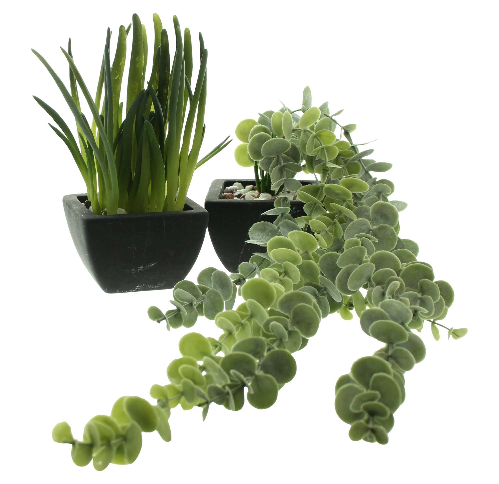 Kunstpflanze "Zimmergrün", 2er Set im Frank Flechtwaren Online Shop für Kunstpflanzen kaufen Kunstpflanze "Zimmergrün", 2er Set im Frank Flechtwaren Online Shop für Kunstpflanzen kaufen