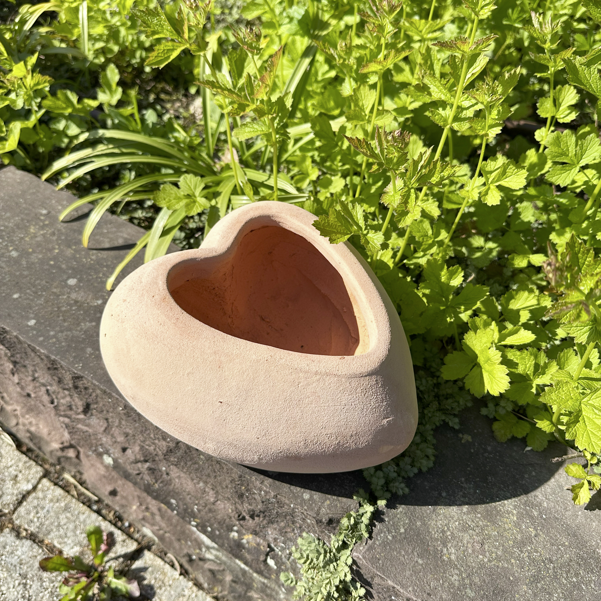 Pflanzherz "Terra"  im Frank Flechtwaren Online Shop kaufen