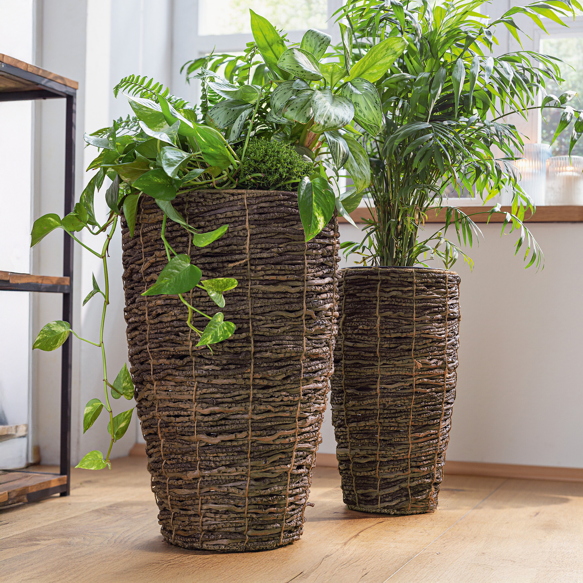 Übertopf "Coconut", 2er Set  im Frank Flechtwaren Online Shop kaufen