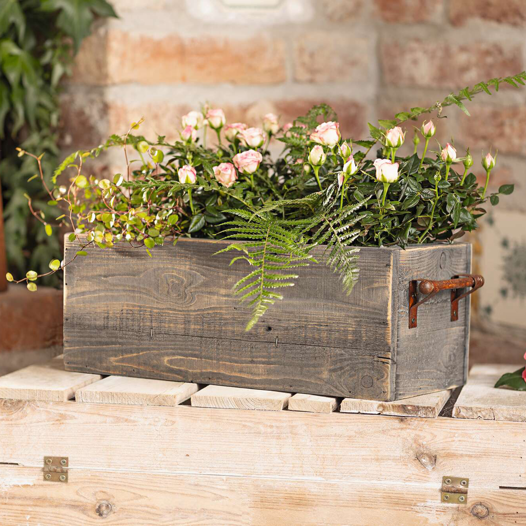 Pflanzbox "Farmhouse"  im Frank Flechtwaren Online Shop kaufen