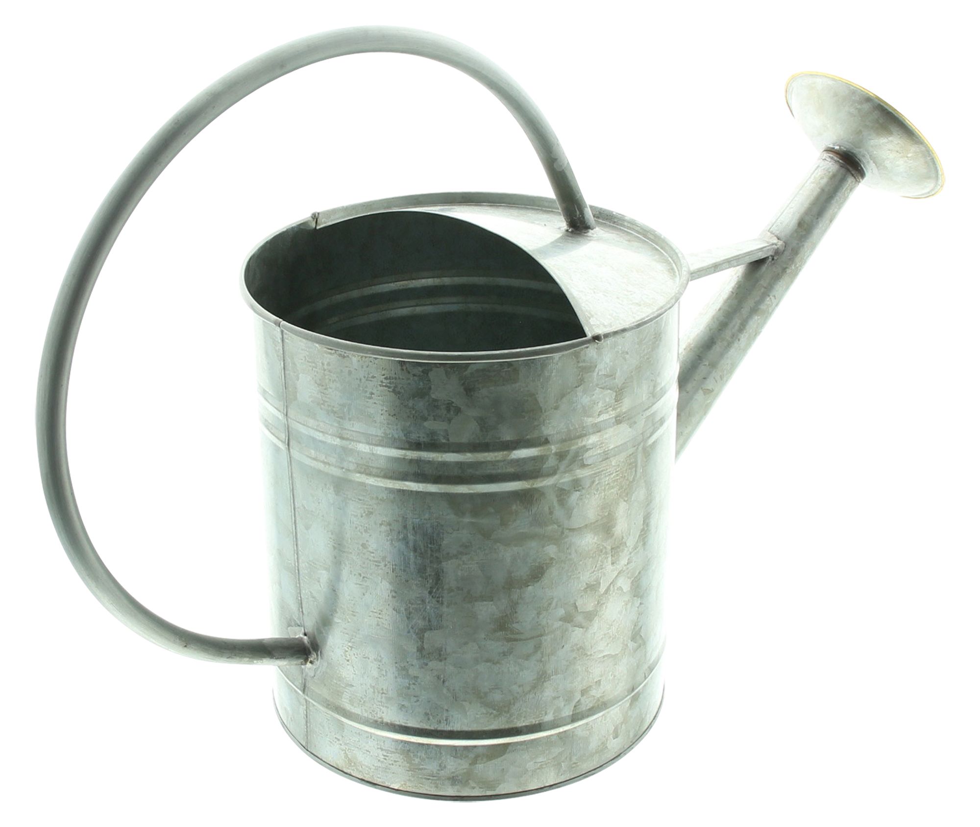Dekogießkanne "Silver" im Frank Flechtwaren Online Shop für Gartendeko kaufen Dekogießkanne "Silver" im Frank Flechtwaren Online Shop für Gartendeko kaufen